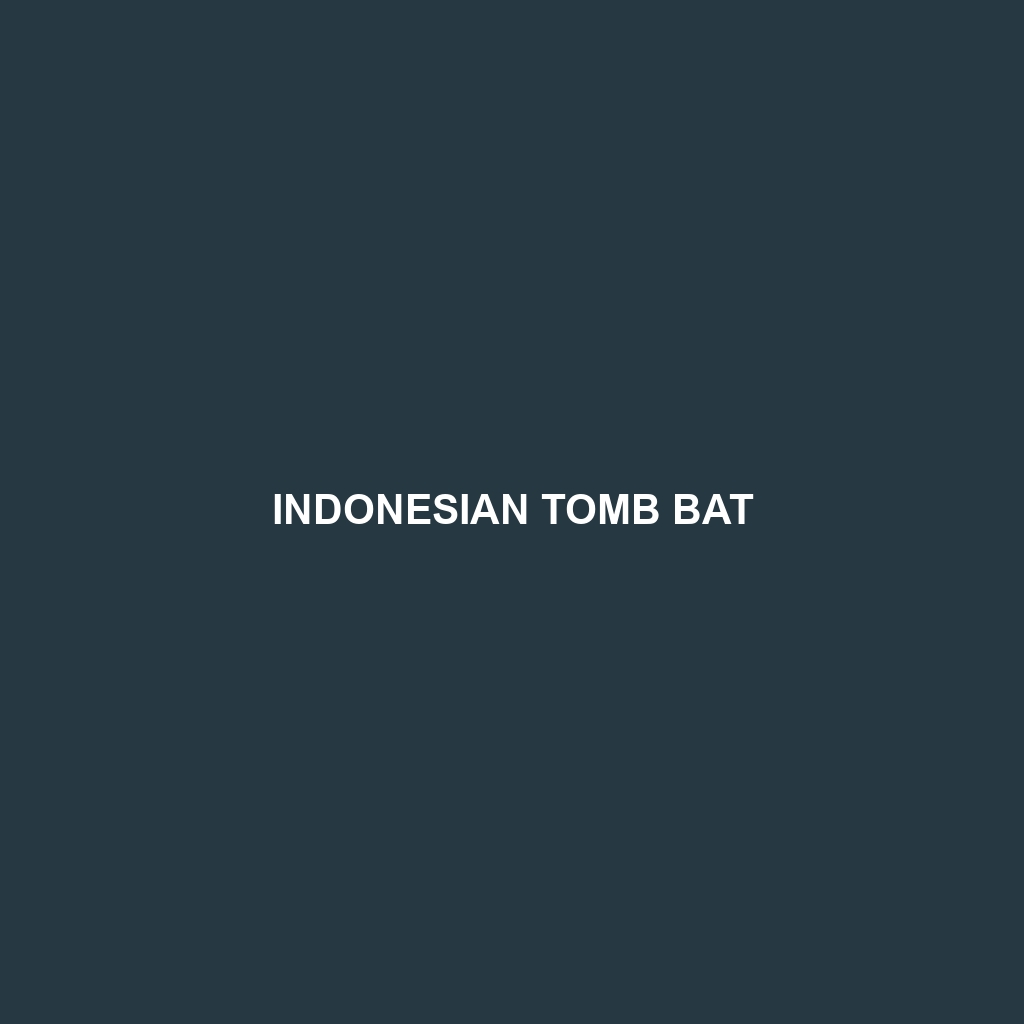 Indonesian Tomb Bat