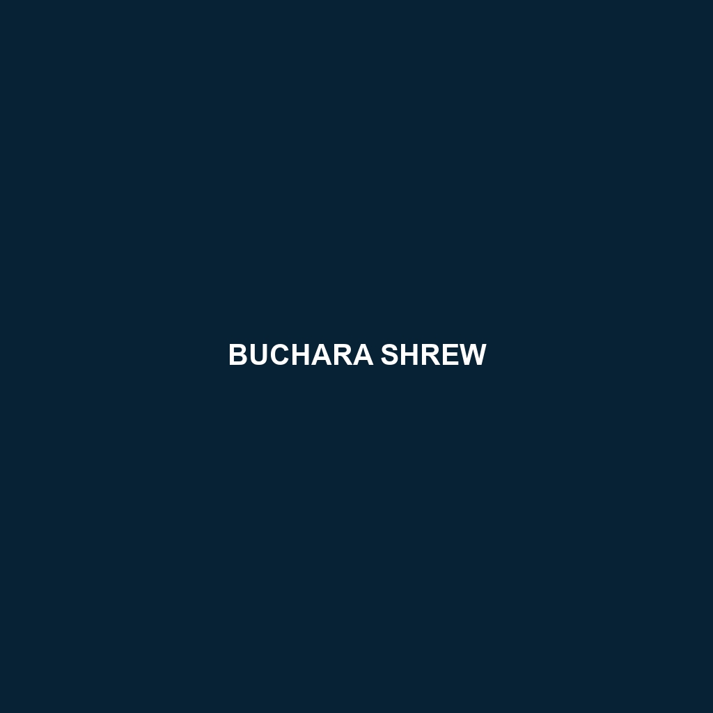 Buchara Shrew