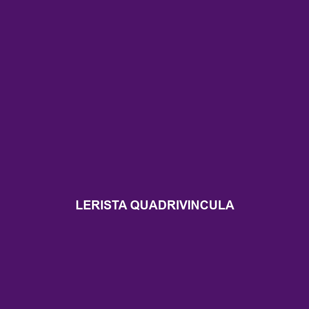 Lerista quadrivincula