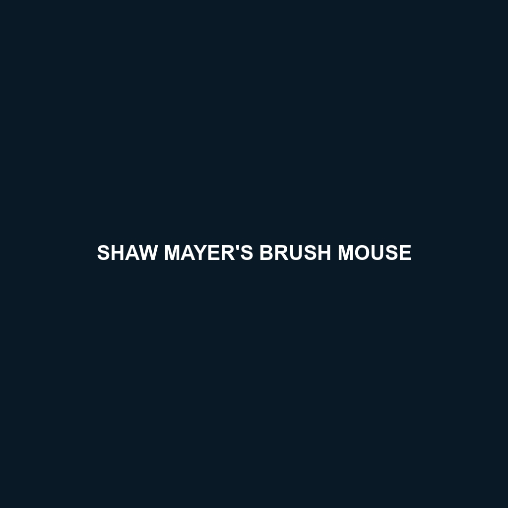 Shaw Mayer's Brush Mouse