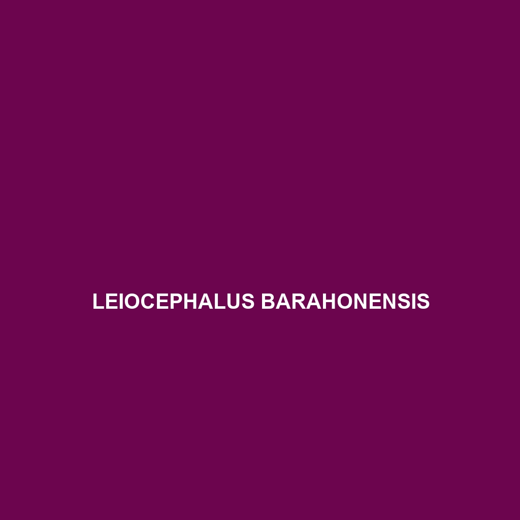 Leiocephalus barahonensis