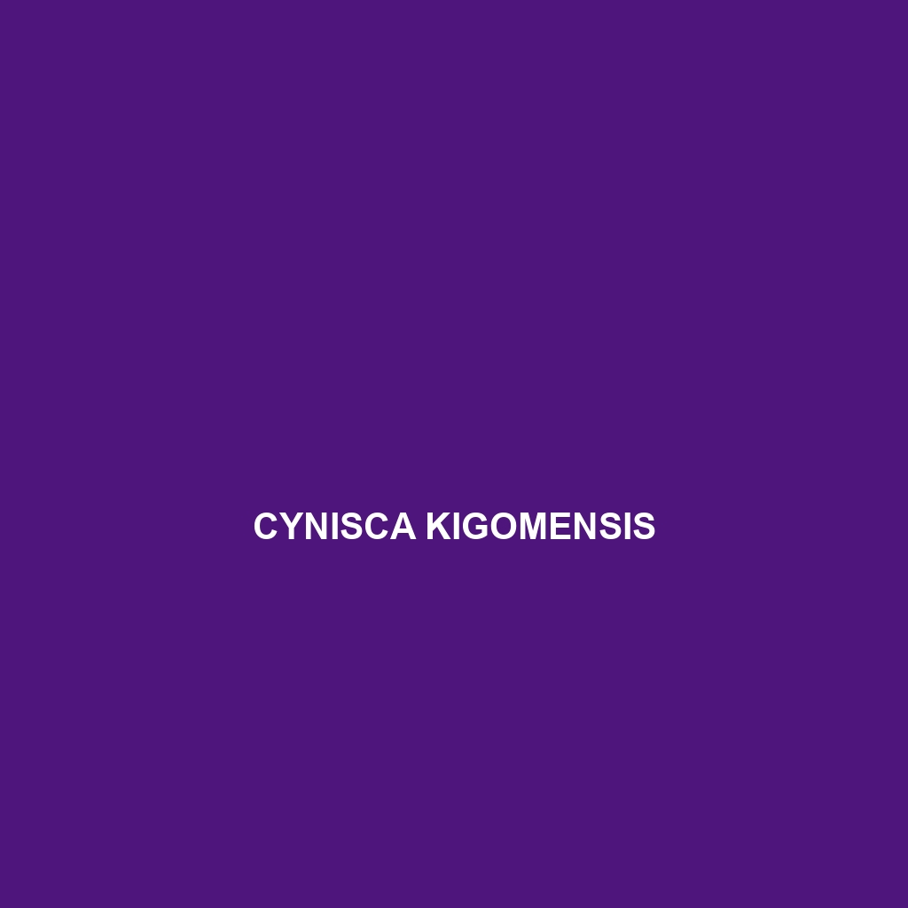 Cynisca kigomensis