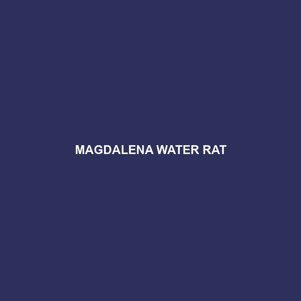 Magdalena Water Rat