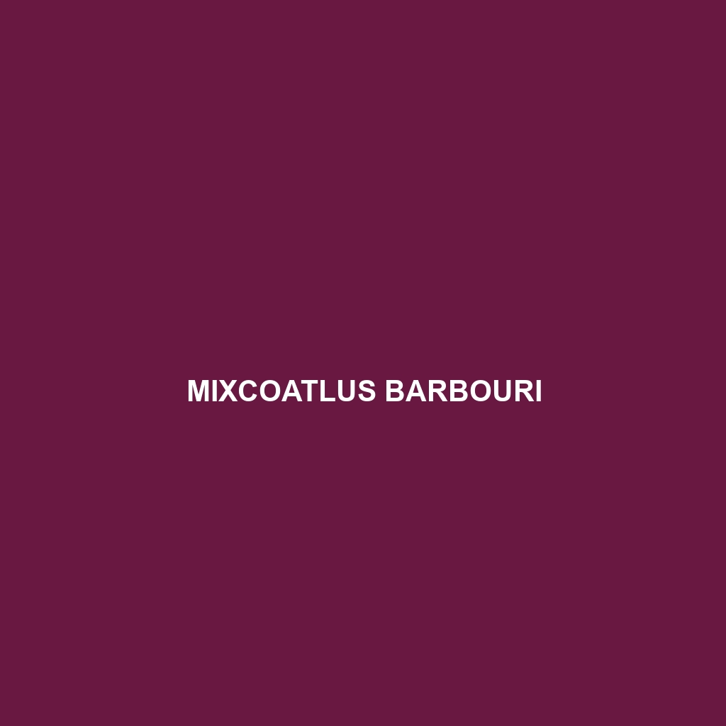 Mixcoatlus barbouri