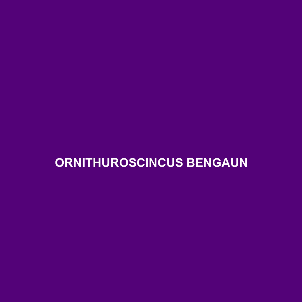 Ornithuroscincus bengaun