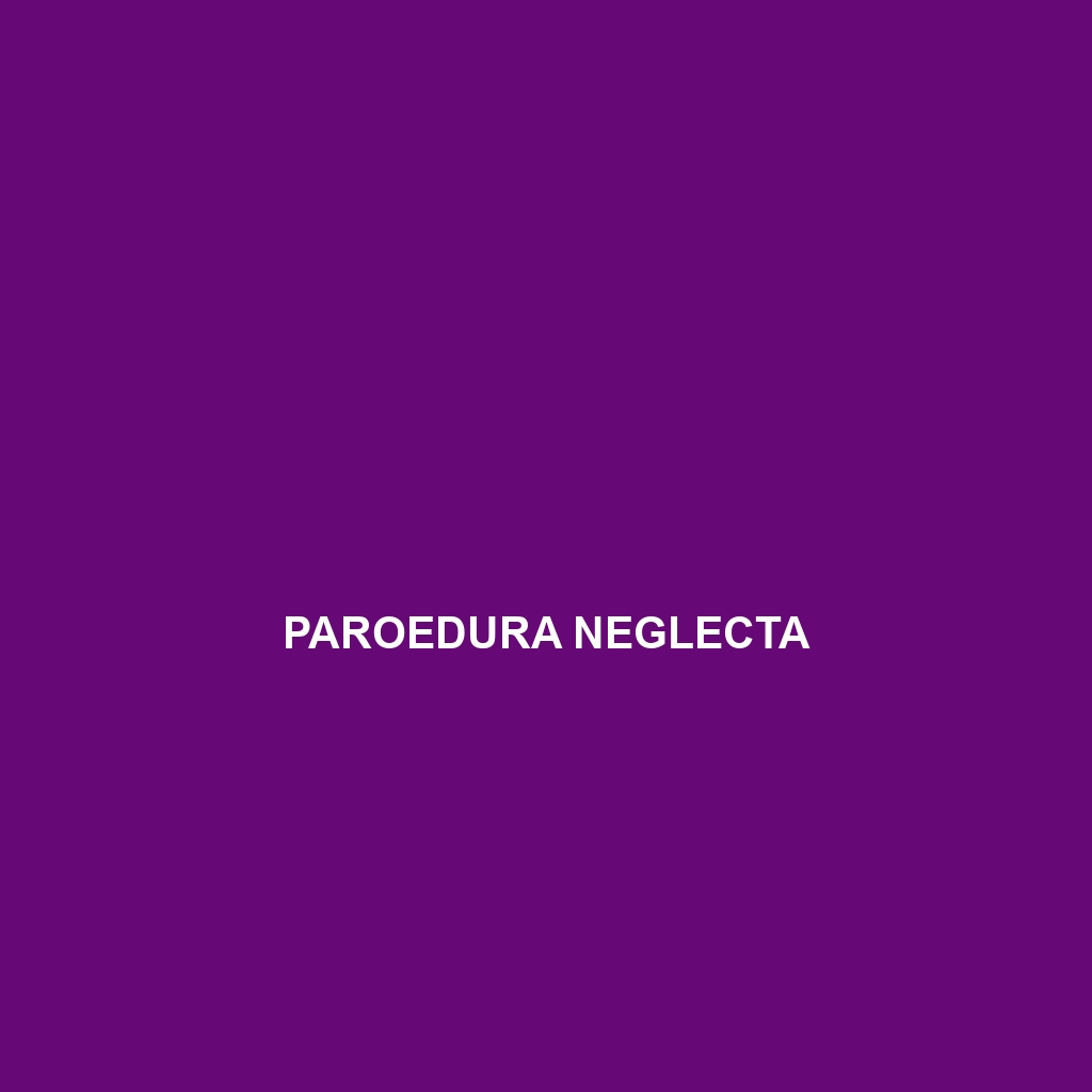 Paroedura neglecta