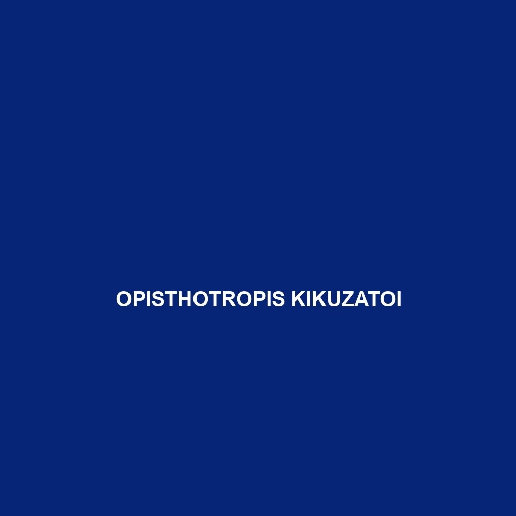 Opisthotropis kikuzatoi