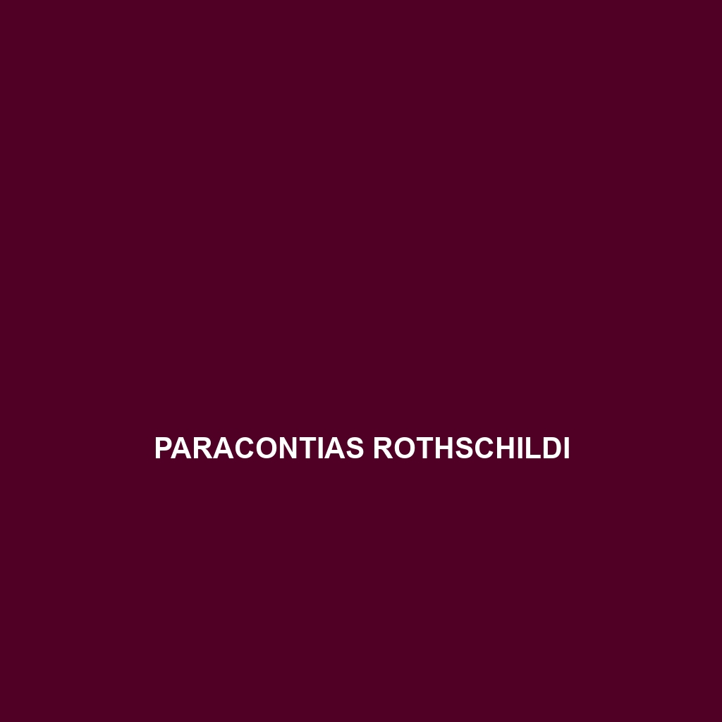 Paracontias rothschildi