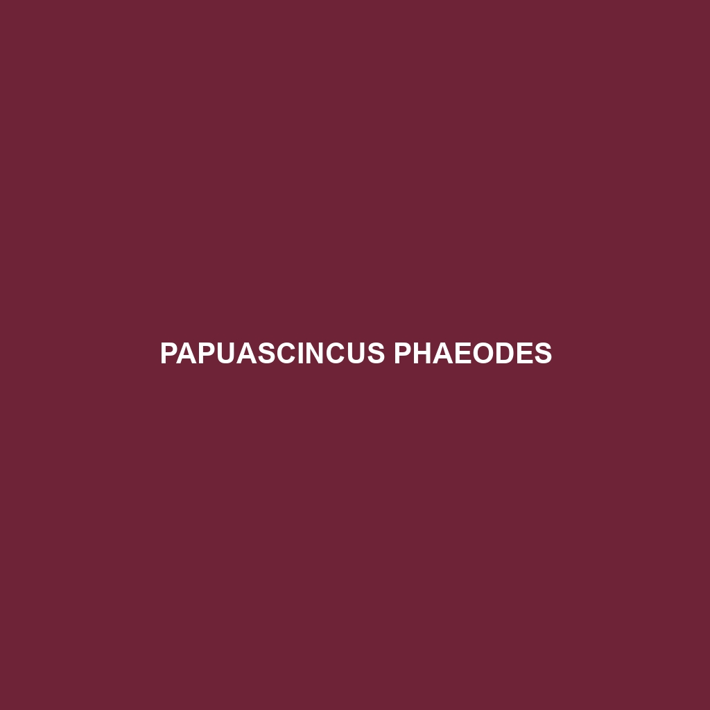 Papuascincus phaeodes