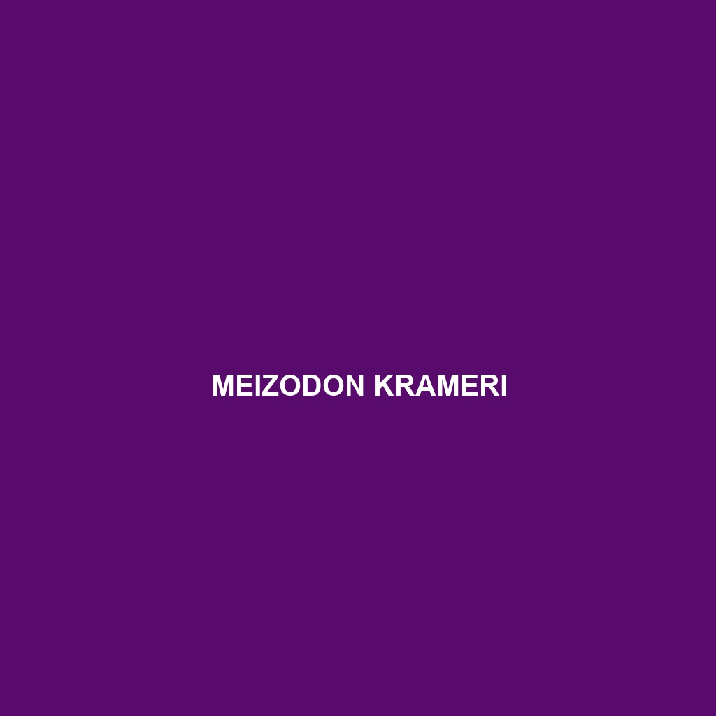 Meizodon krameri