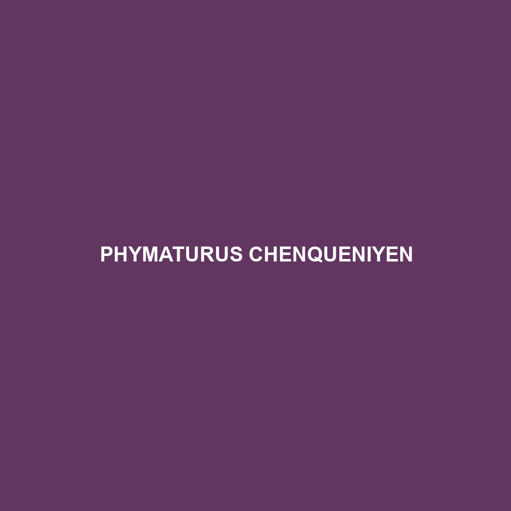 Phymaturus chenqueniyen