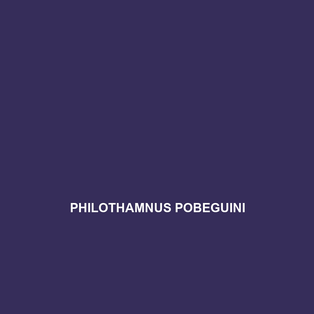 Philothamnus pobeguini