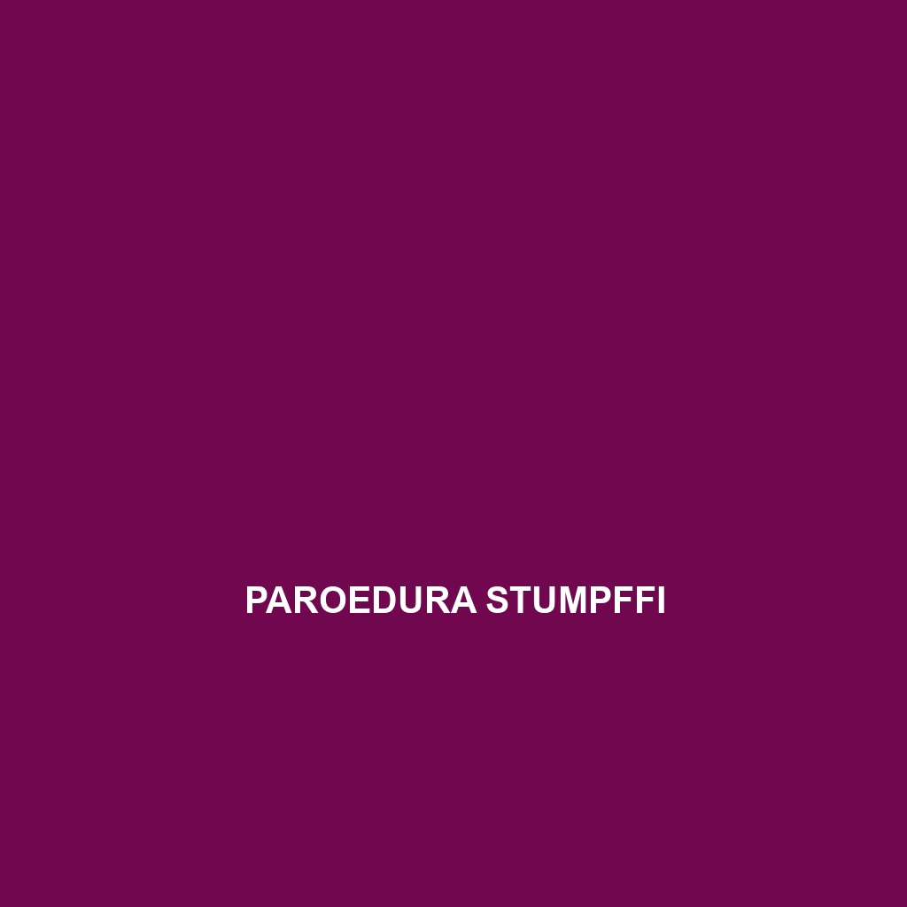 Paroedura stumpffi