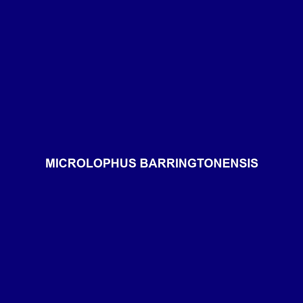 Microlophus barringtonensis