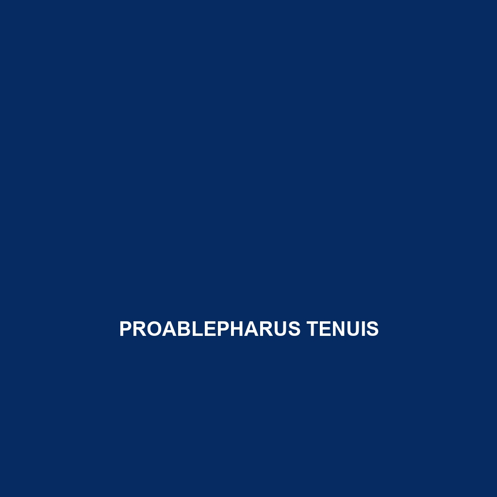 Proablepharus tenuis