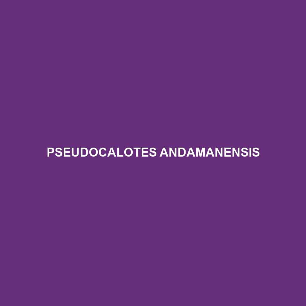 Pseudocalotes andamanensis