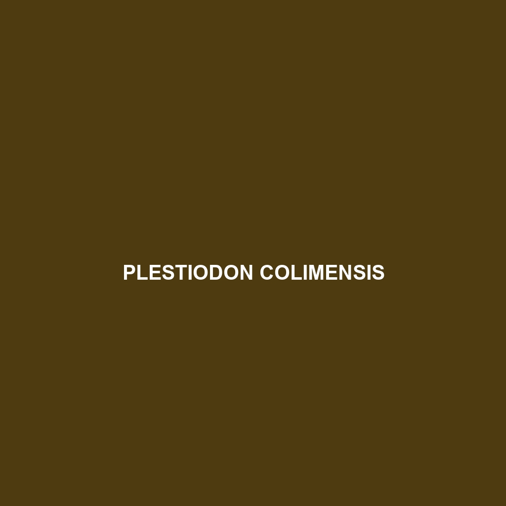 Plestiodon colimensis