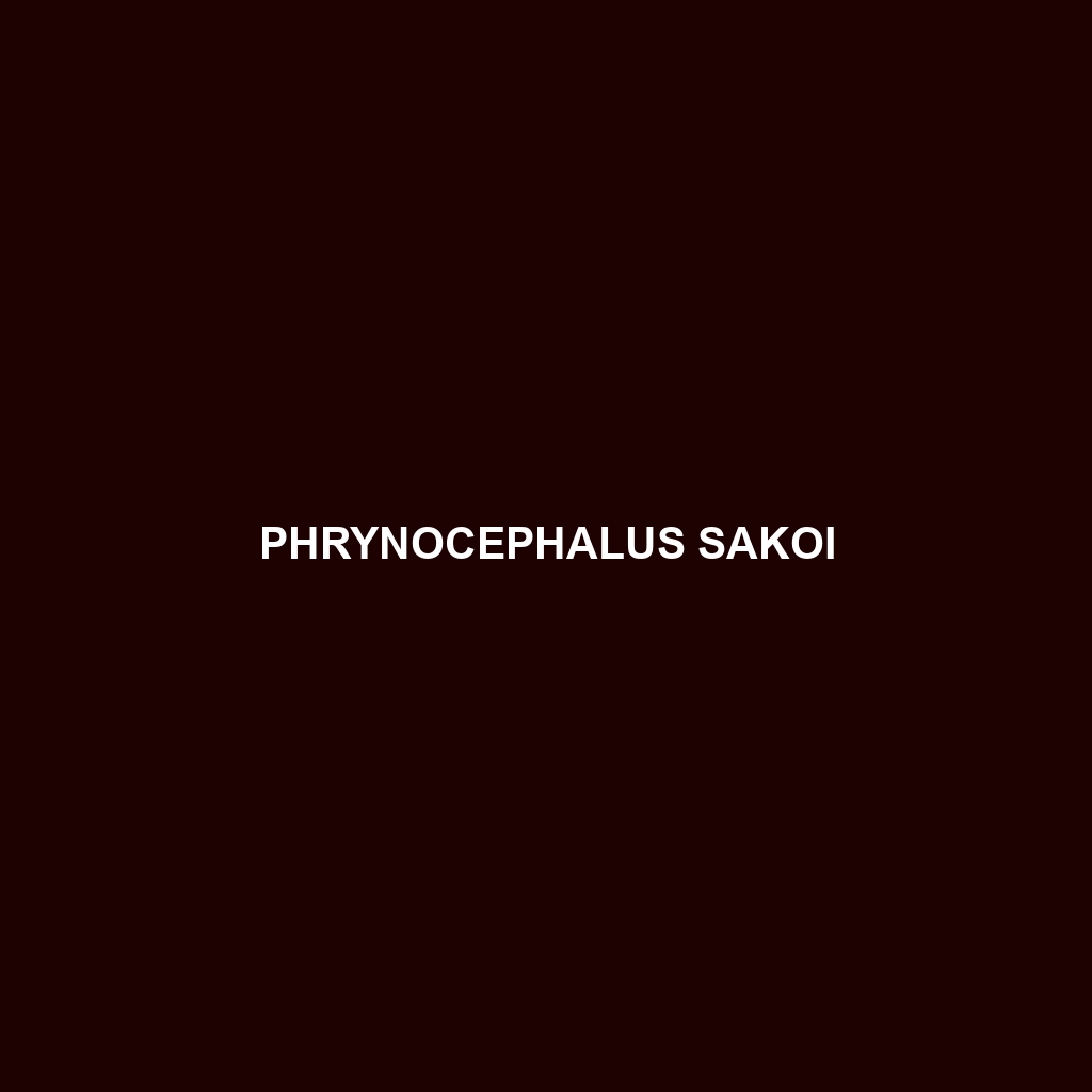 Phrynocephalus sakoi