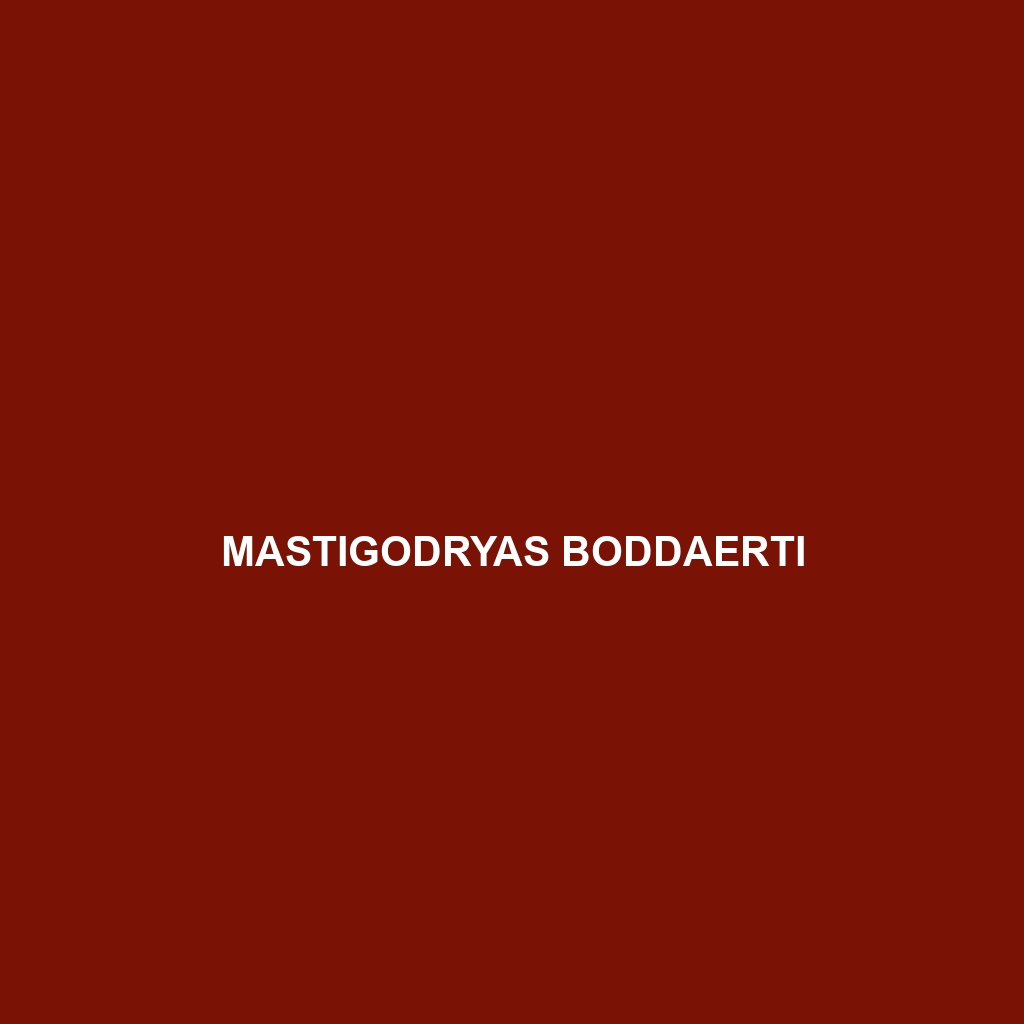 Mastigodryas boddaerti