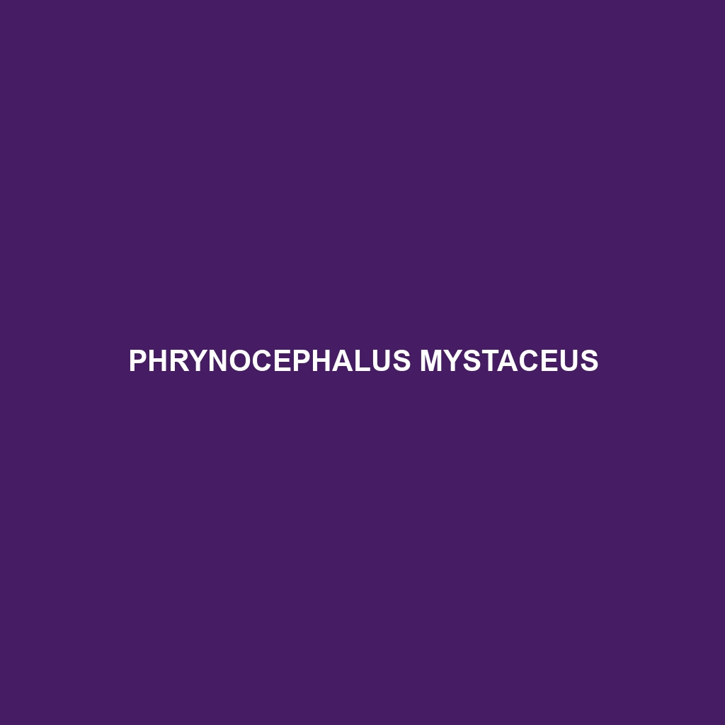 Phrynocephalus mystaceus