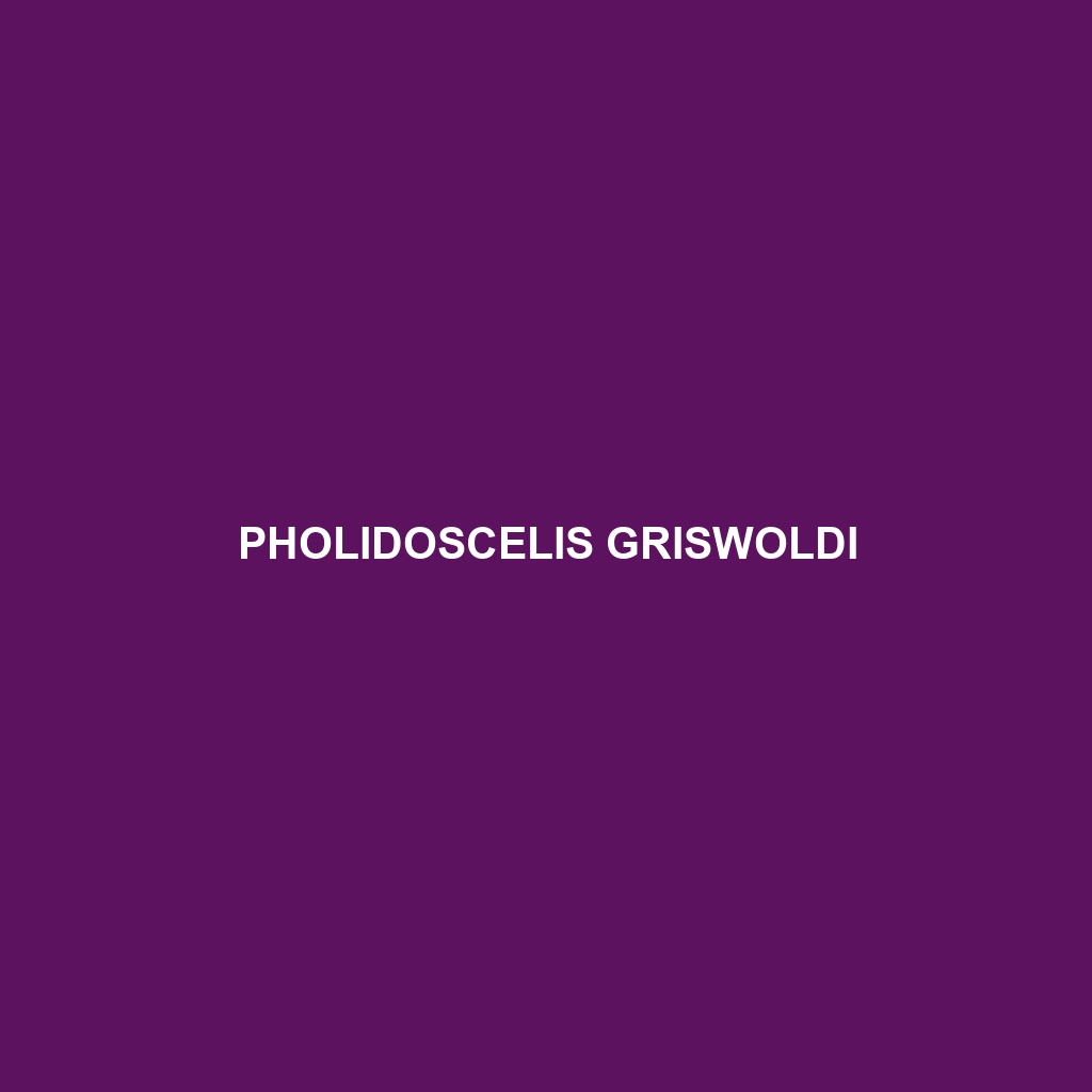 Pholidoscelis griswoldi