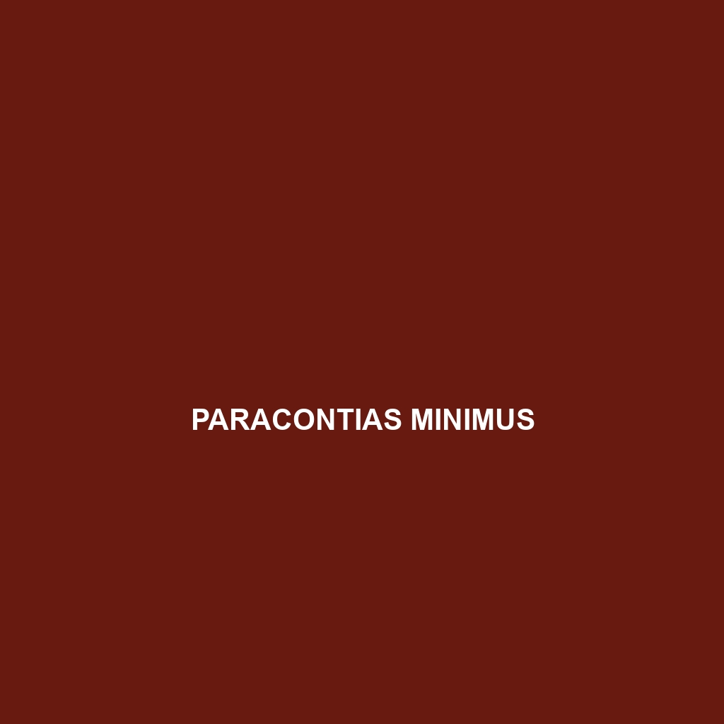 Paracontias minimus