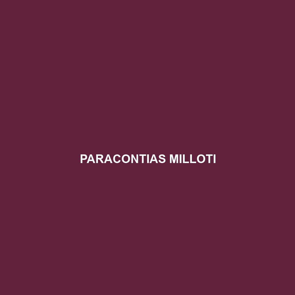 Paracontias milloti