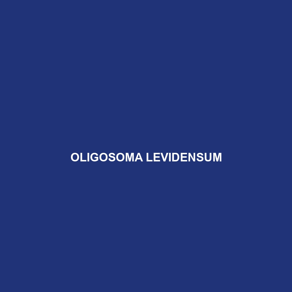 Oligosoma levidensum