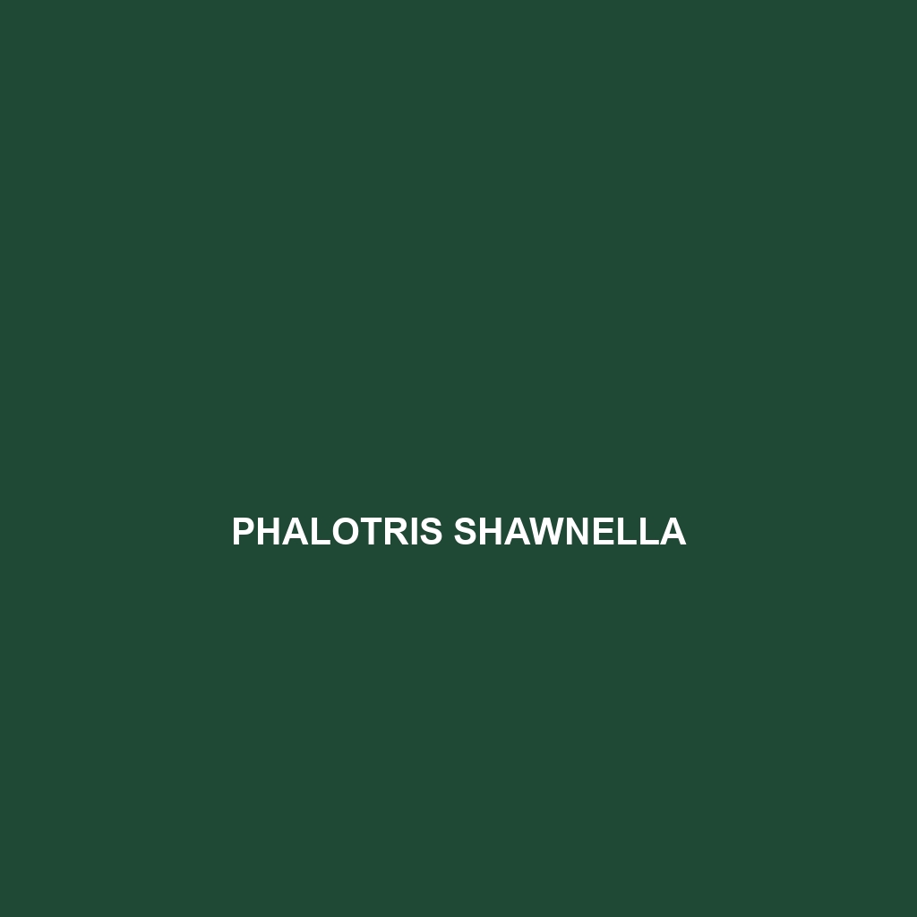 Phalotris shawnella