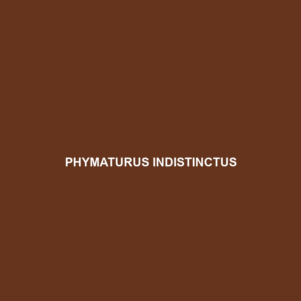 Phymaturus indistinctus