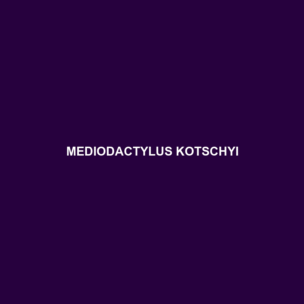 Mediodactylus kotschyi