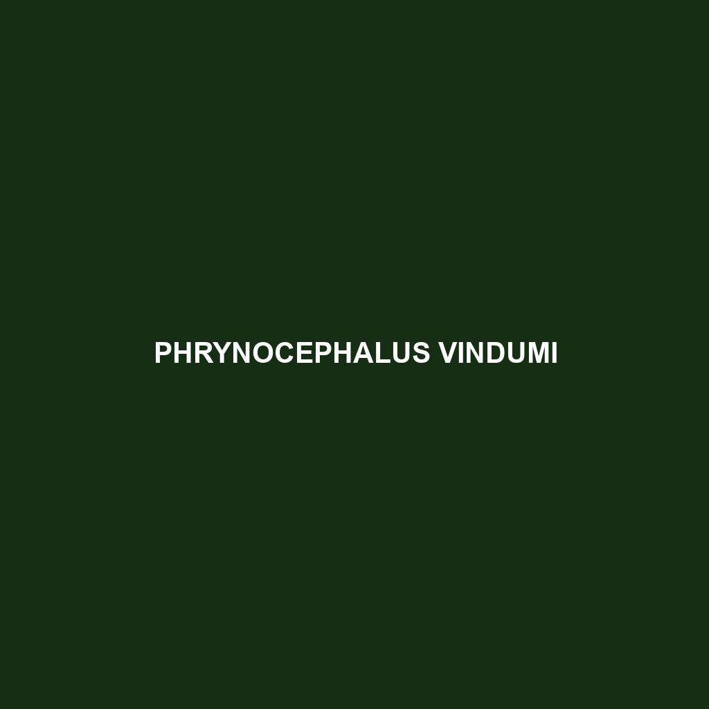 Phrynocephalus vindumi