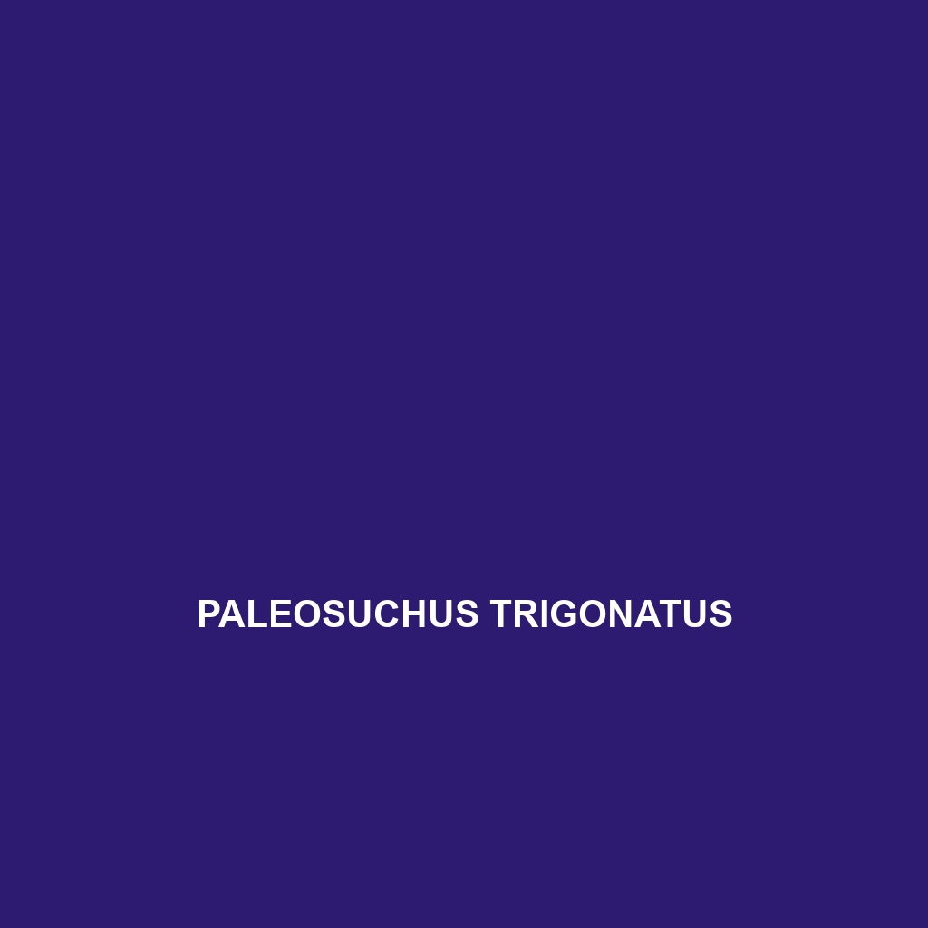 Paleosuchus trigonatus