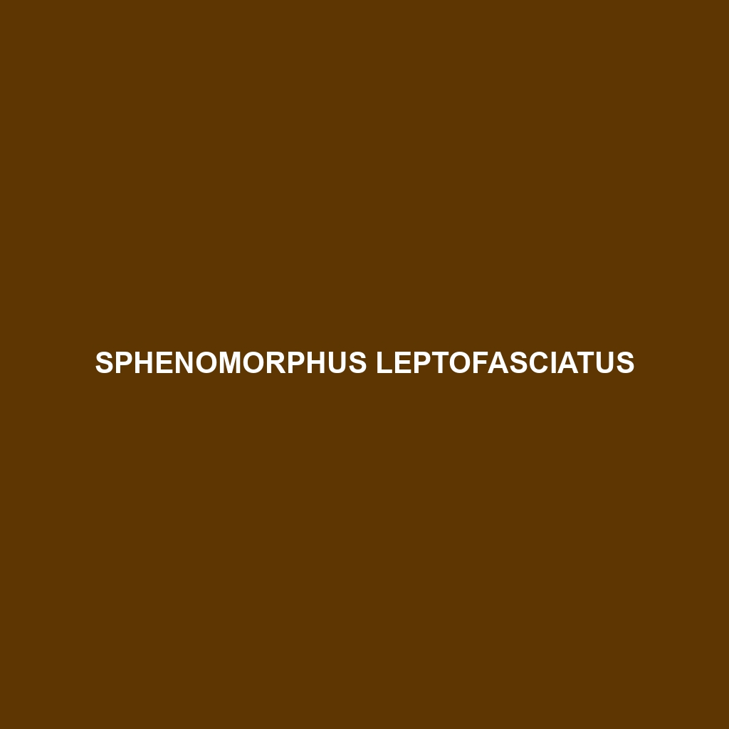 Sphenomorphus leptofasciatus