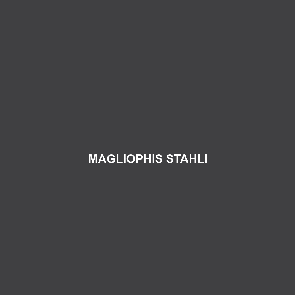 Magliophis stahli