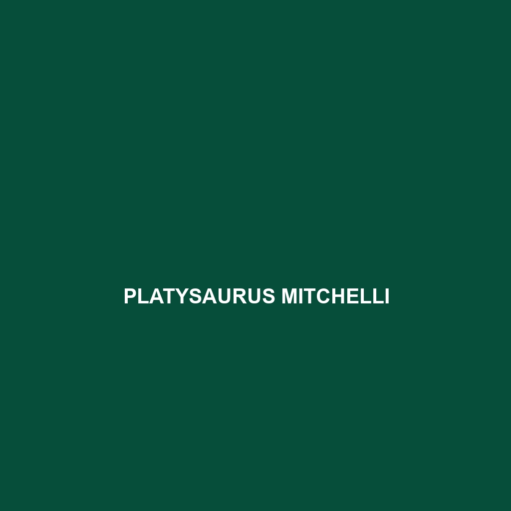 Platysaurus mitchelli