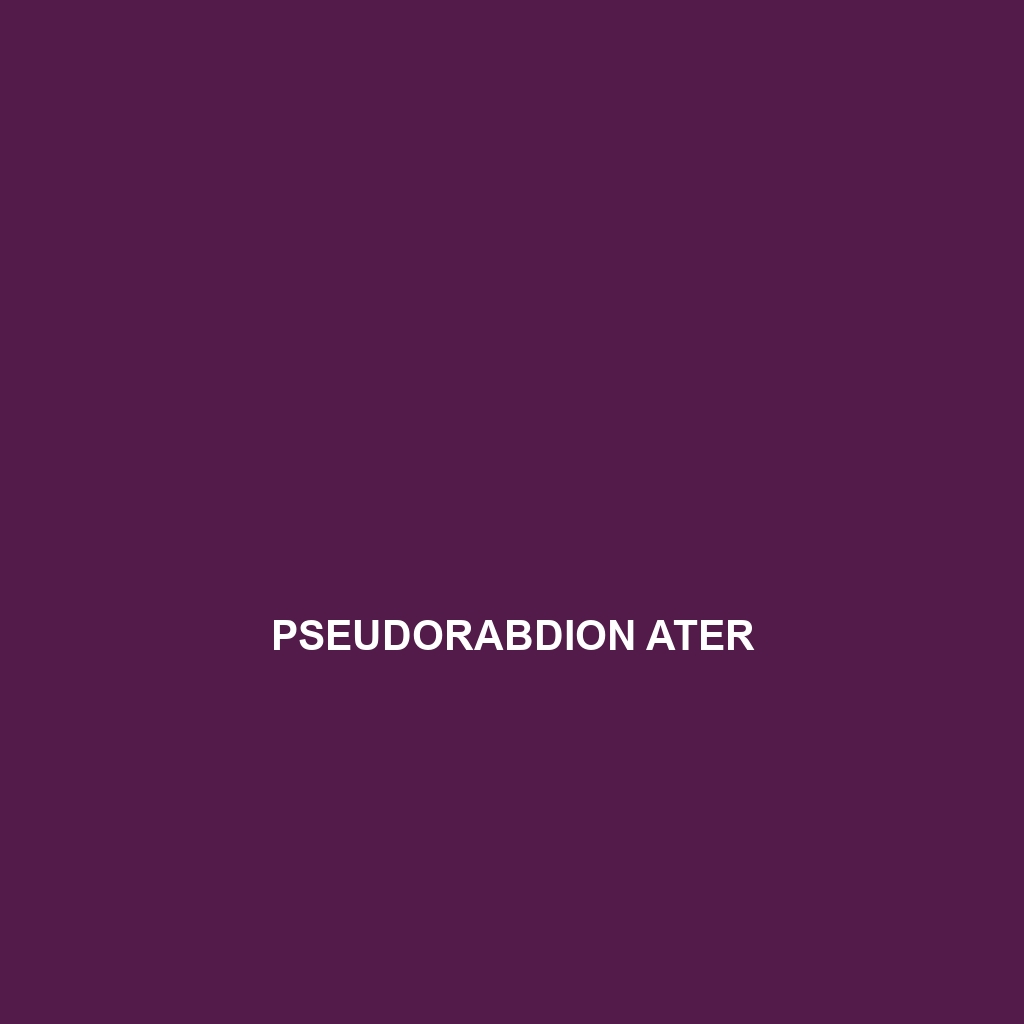 Pseudorabdion ater