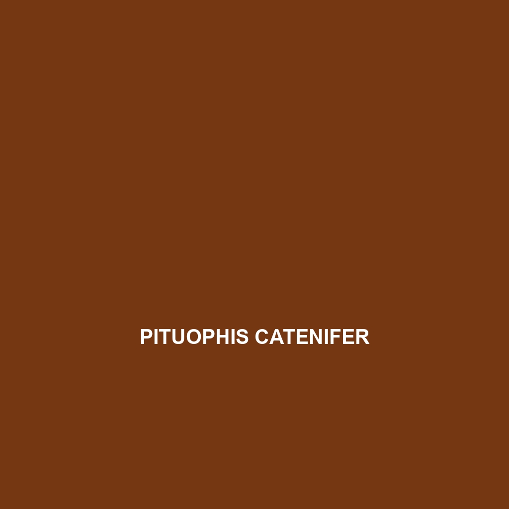 Pituophis catenifer