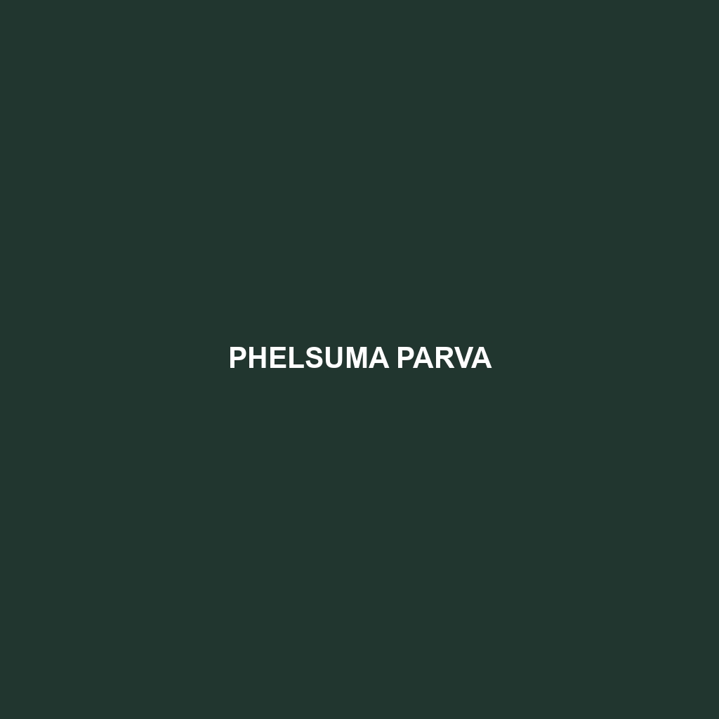 Phelsuma parva