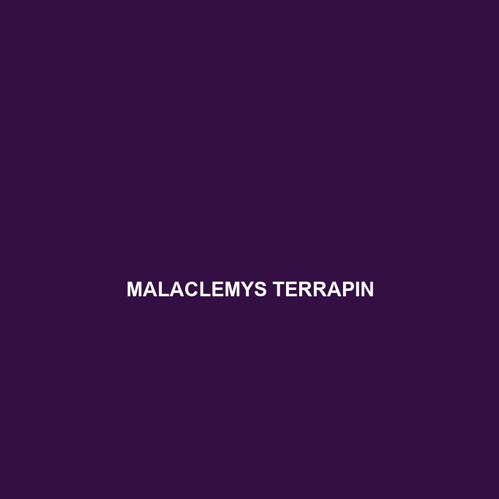 Malaclemys terrapin