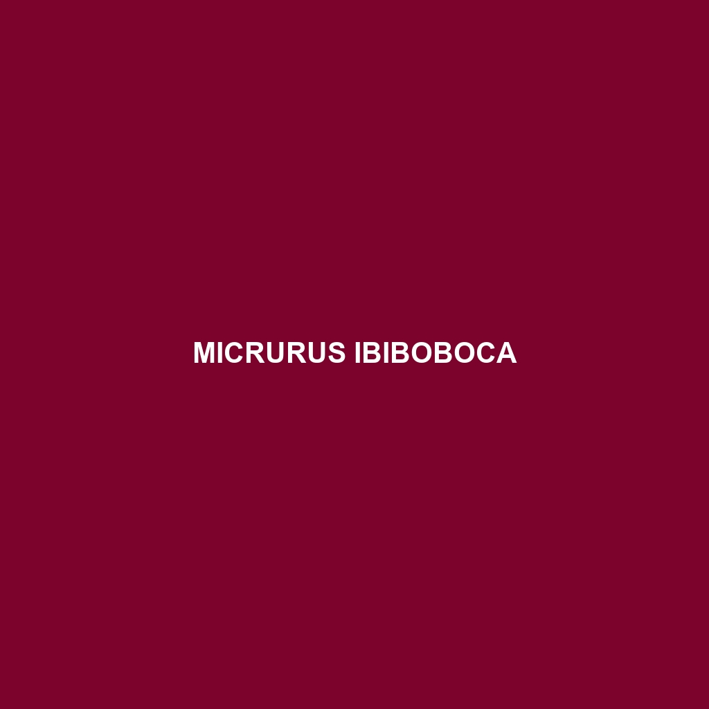 Micrurus ibiboboca