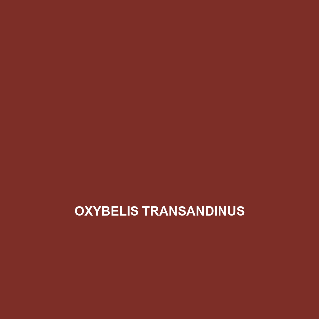 Oxybelis transandinus