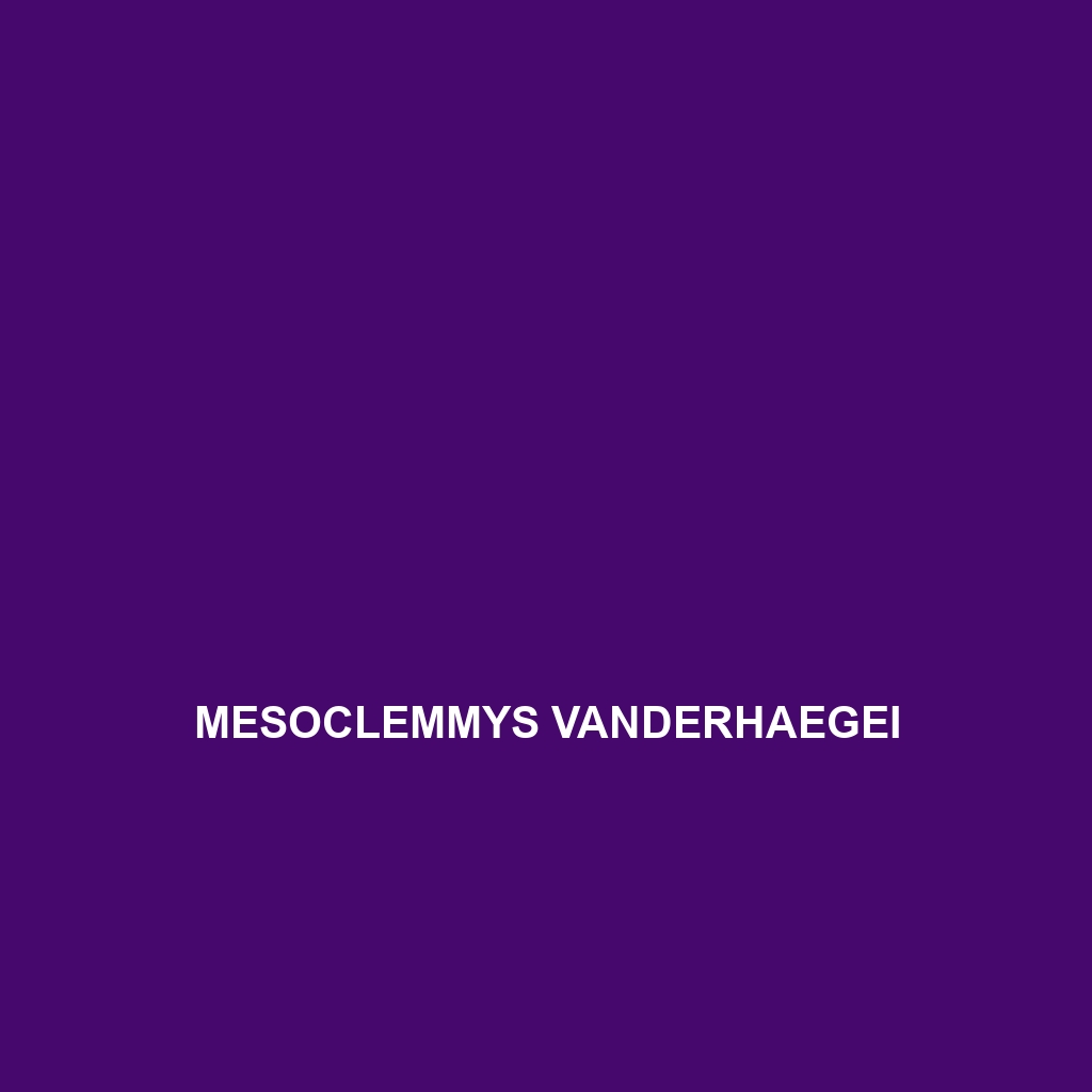 Mesoclemmys vanderhaegei