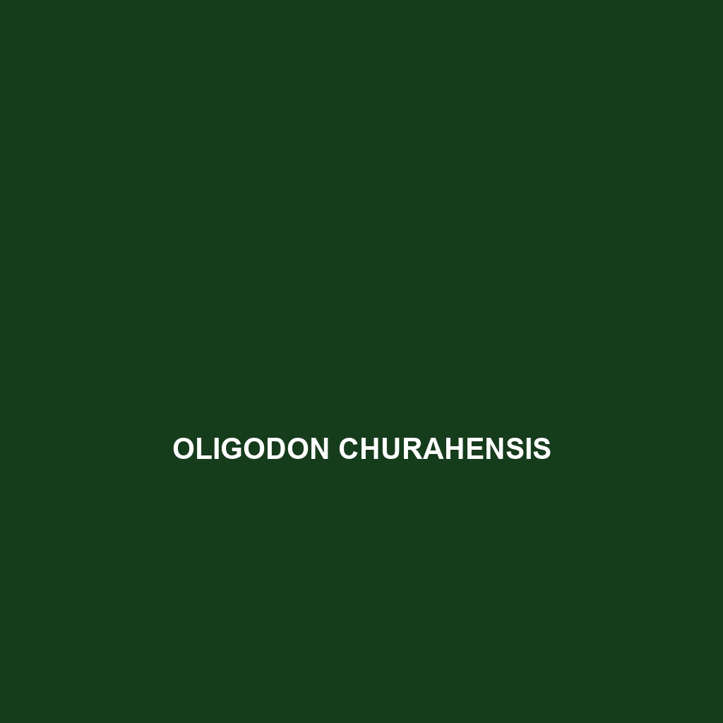 Oligodon churahensis