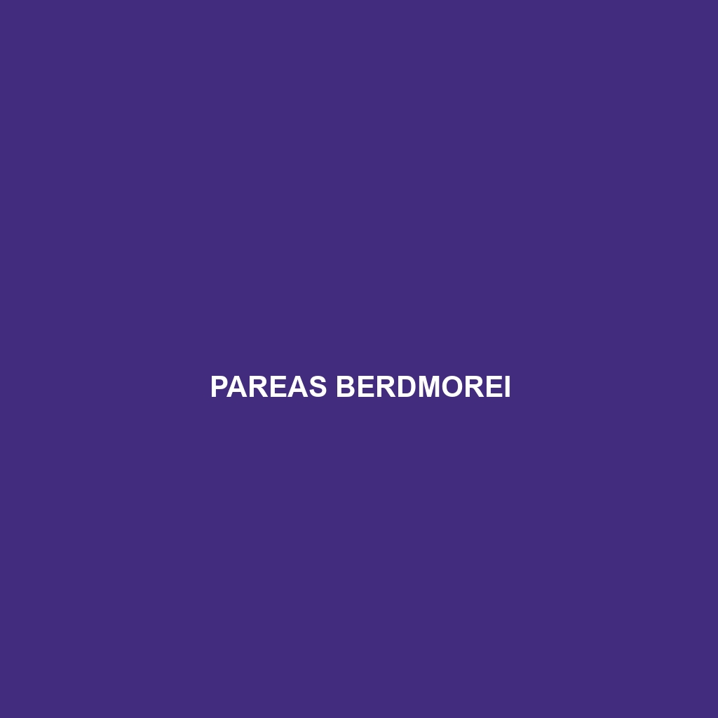 Pareas berdmorei