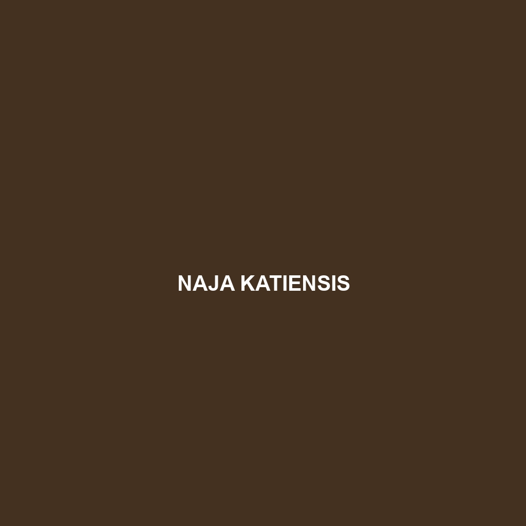 Naja katiensis