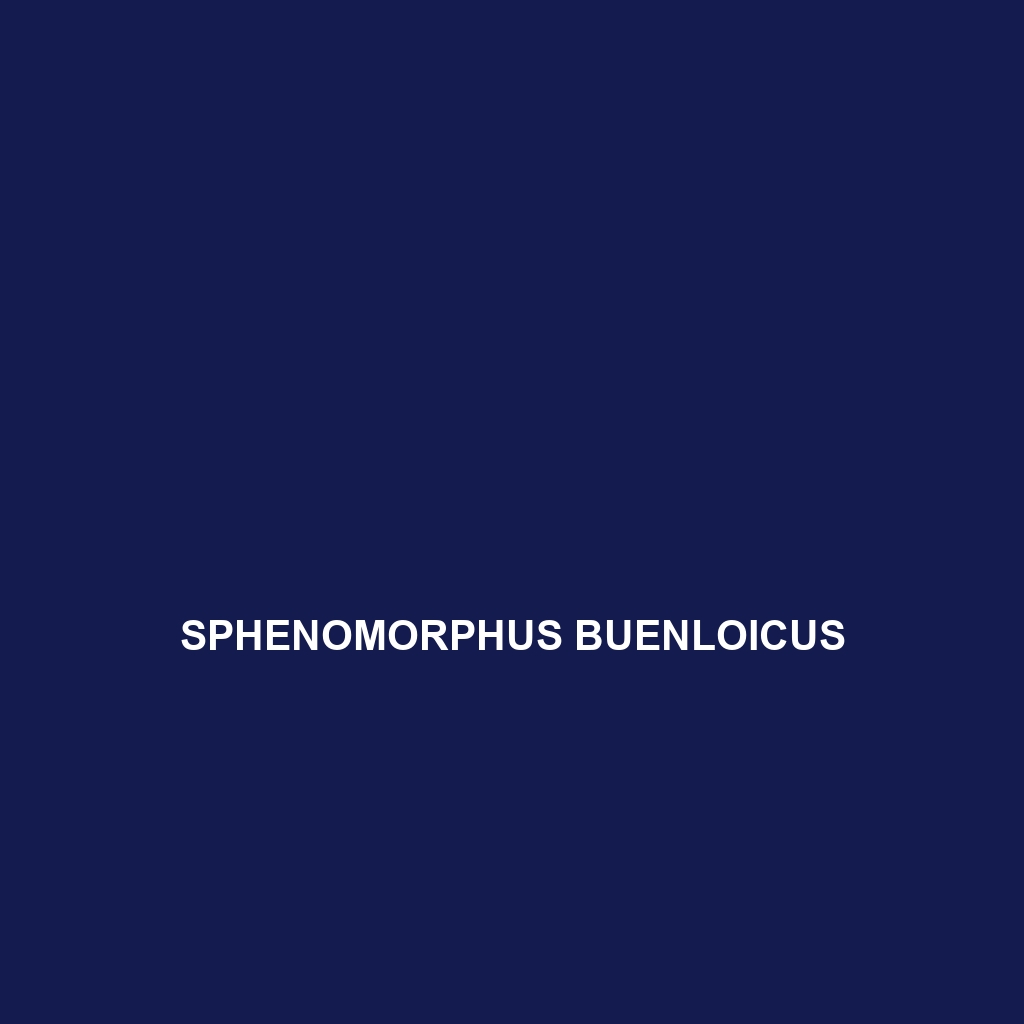 Sphenomorphus buenloicus