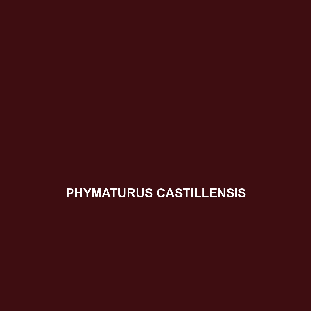 Phymaturus castillensis