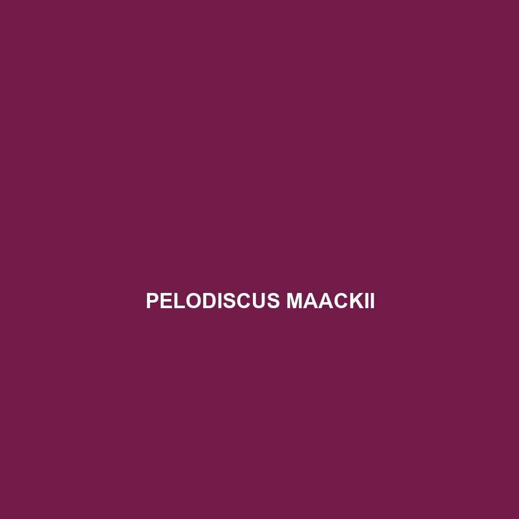 Pelodiscus maackii