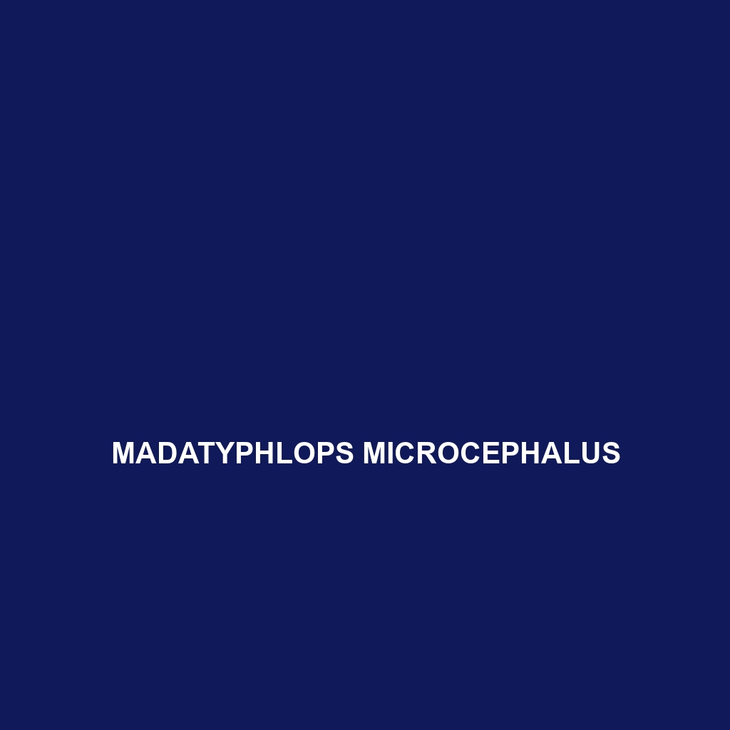 Madatyphlops microcephalus